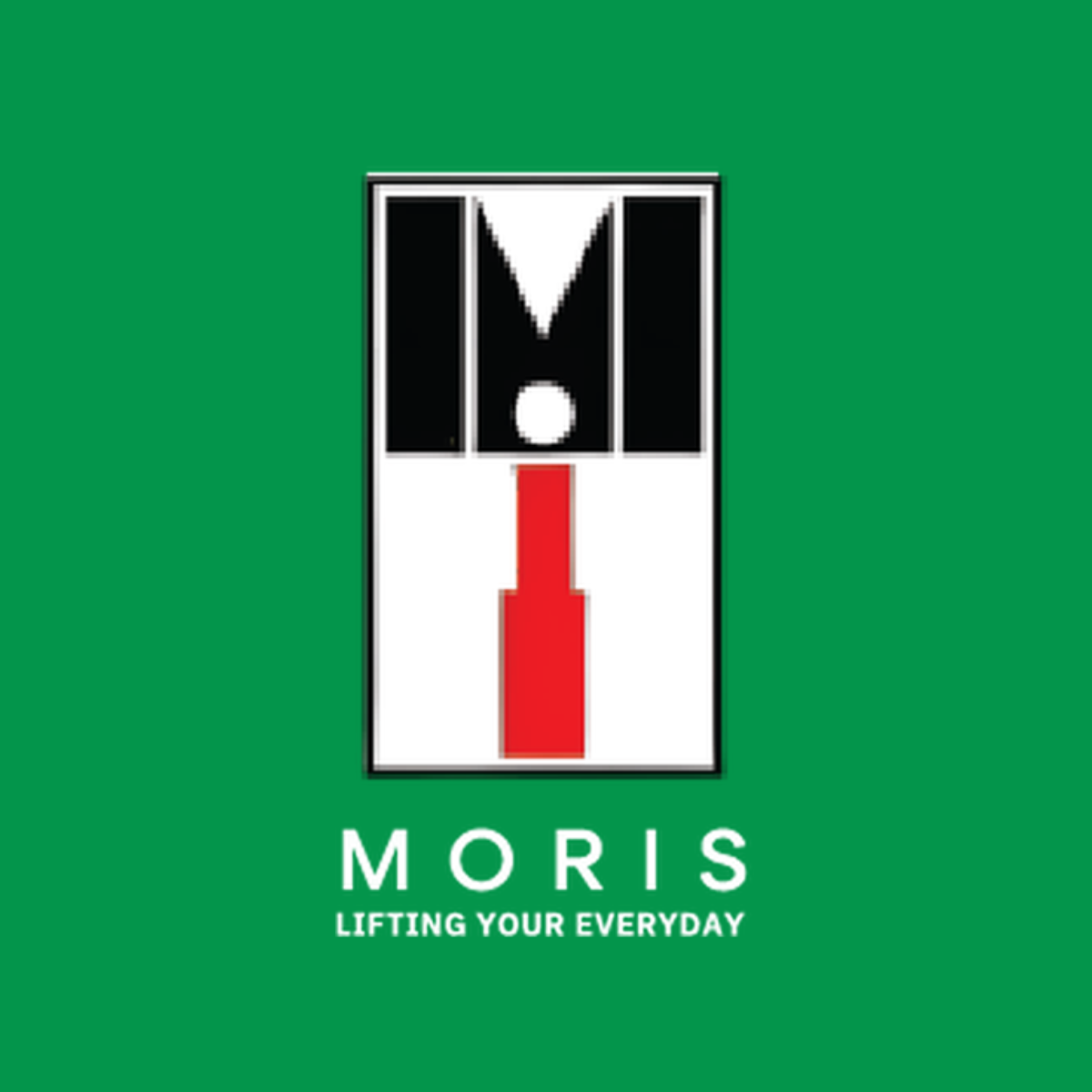 Vivamus a sapien vitae leo ultricies euismod eu at erat